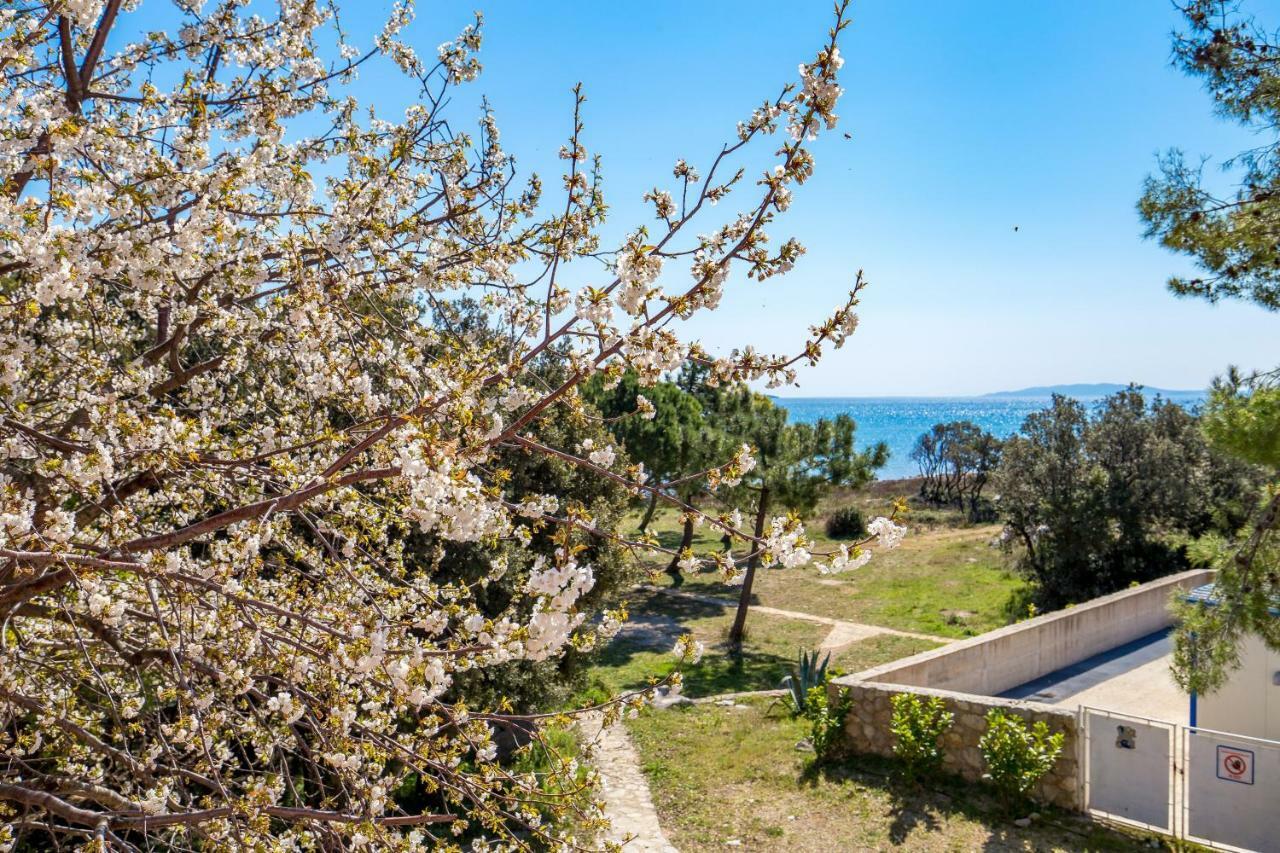 Apartments In Pinewood Near The Sea Mali Lošinj Esterno foto