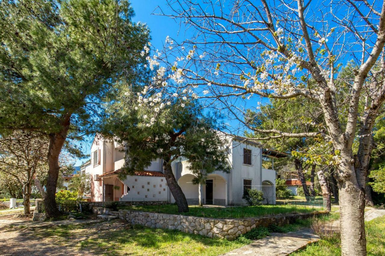 Apartments In Pinewood Near The Sea Mali Lošinj Esterno foto